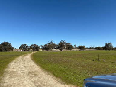 House For Sale - WA - Wanerie - 6503 - Discover your perfect lifestyle retreat!  (Image 2)
