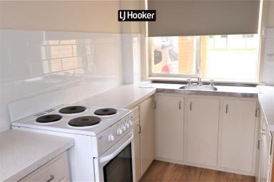 Unit For Lease - NSW - Inverell - 2360 - Modern Unit Near Holy Trinity School  (Image 2)