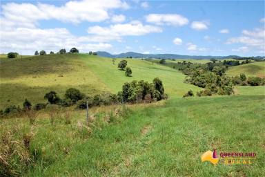 Other (Rural) For Sale - QLD - Tarzali - 4885 - The Springs  (Image 2)
