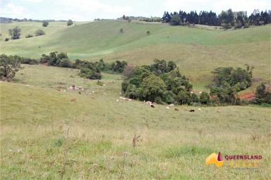 Other (Rural) For Sale - QLD - Tarzali - 4885 - The Springs  (Image 2)