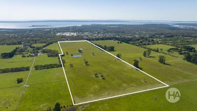 Acreage/Semi-rural For Sale - VIC - Bittern - 3918 - Acreage Living Meets Convenience – 58 Acres  (Image 2)