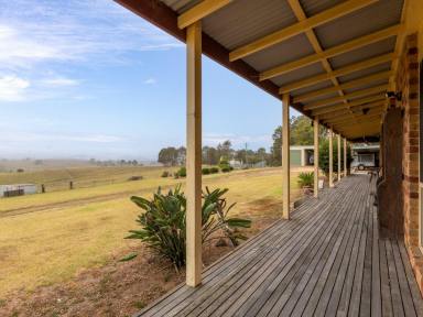 Acreage/Semi-rural For Sale - NSW - Candelo - 2550 - 47 ACRES, HOUSE, SHEDS & CREEK!  (Image 2)