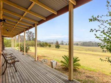 Acreage/Semi-rural For Sale - NSW - Candelo - 2550 - 47 ACRES, HOUSE, SHEDS & CREEK!  (Image 2)