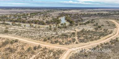 Residential Block For Sale - NSW - Wentworth - 2648 - Kelso Estate - Your Riverfront Dream Starts Here  (Image 2)