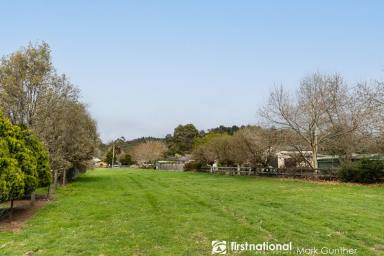 Residential Block For Sale - VIC - Healesville - 3777 - Last Remaining 1-Acre Block on Farnham Road  (Image 2)