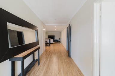 House For Sale - WA - Wellard - 6170 - Family-Friendly 4-Bedroom Home in Wellard Village Estate – Stylish, Spacious & Perfectly Located  (Image 2)