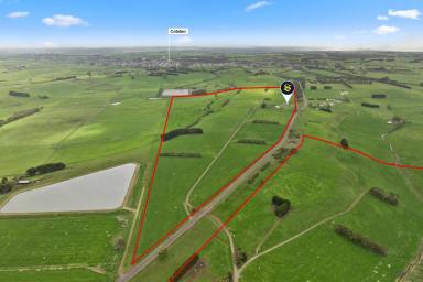 Dairy For Sale - VIC - Cobden - 3266 - HIGH CLASS COBDEN FARMING ENTERPRISE  (Image 2)