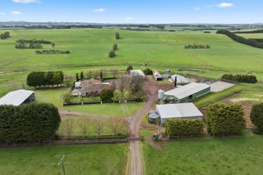 Dairy For Sale - VIC - Cobden - 3266 - HIGH CLASS COBDEN FARMING ENTERPRISE  (Image 2)