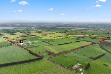 Dairy For Sale - VIC - Tesbury - 3260 - TOP CLASS CAMPERDOWN DISTRICT DAIRY PROPERTY  (Image 2)