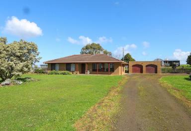 Livestock For Sale - VIC - Tyrendarra - 3285 - Lifestyle with an income!  (Image 2)