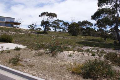 Residential Block For Sale - TAS - Scamander - 7215 - 8 Fully Serviced, Elevated Sea Blocks!  (Image 2)