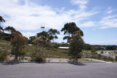 Residential Block For Sale - TAS - Scamander - 7215 - 8 Fully Serviced, Elevated Sea Blocks!  (Image 2)
