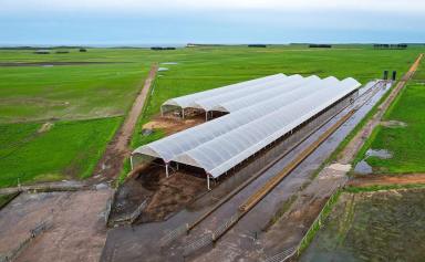 Dairy For Sale - VIC - Nirranda South - 3268 - Blue Ribbon Dairy Farm – Outstanding Infrastructure – Iconic location  (Image 2)