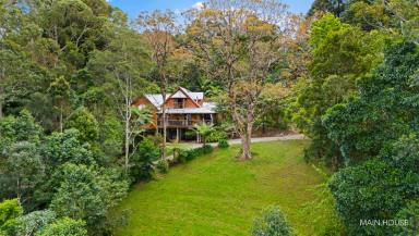 House For Sale - QLD - Mount Glorious - 4520 - Lifestyle plus income opportunity!  (Image 2)