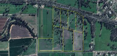 Mixed Farming For Sale - VIC - Koondrook - 3580 - Exceptional Farming Block Opportunity in Koondrook  (Image 2)