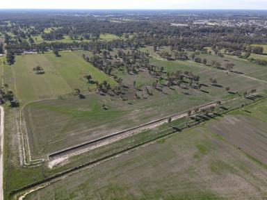 Mixed Farming For Sale - VIC - Koondrook - 3580 - Exceptional Farming Block Opportunity in Koondrook  (Image 2)