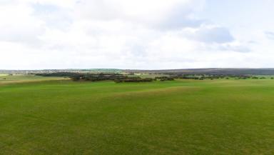 Mixed Farming For Sale - SA - Meningie East - 5264 - VERSATILE BREEDING & FINISHING OPPORTUNITY  (Image 2)