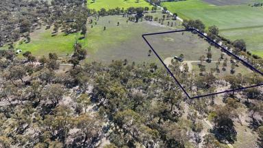 Lifestyle For Sale - VIC - Waaia - 3637 - NUMURKAH / WAAIA – 6 Acre Lifestyle & Recreation Block  (Image 2)