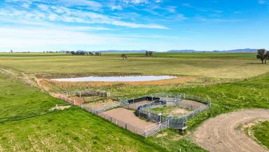 Mixed Farming For Sale - NSW - Bective - 2340 - PRODUCTIVE TURNKEY ASSET  (Image 2)
