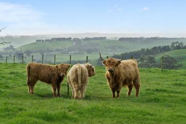 Lifestyle For Sale - VIC - Jancourt East - 3266 - RENOVATED COUNTRY RETREAT WITH BREATHTAKING RURAL VIEWS  (Image 2)