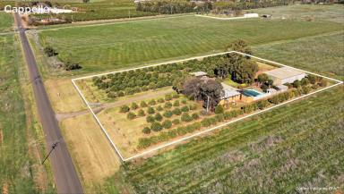House For Sale - NSW - Lake Wyangan - 2680 - THE PERFECT LIFESTYLE ALLOTMENT WITH THE PERFECT LOCATION !  (Image 2)