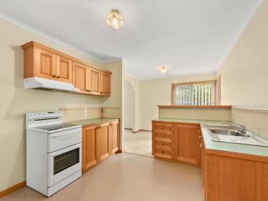 House For Sale - TAS - Ravenswood - 7250 - FAMILY GEM  (Image 2)