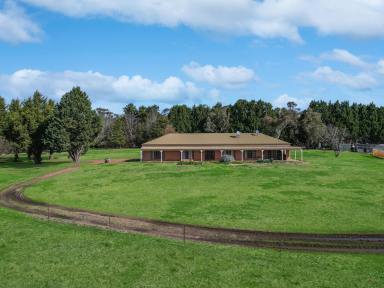 Lifestyle For Sale - NSW - Paddys River - 2577 - Country Living on 100 Acres with Water Security  (Image 2)