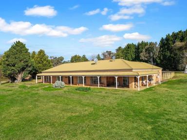 Lifestyle For Sale - NSW - Paddys River - 2577 - Country Living on 100 Acres with Water Security  (Image 2)