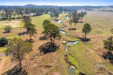 Residential Block For Sale - QLD - Tiaro - 4650 - LIFESTYLE BLOCK WITH BIG POTENTIAL IN TIARO  (Image 2)
