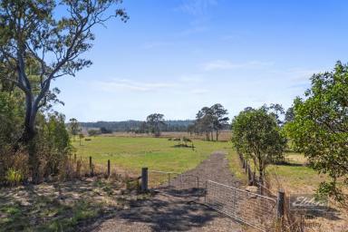 Residential Block For Sale - QLD - Tiaro - 4650 - SMALL TOWN CONVENIENCE & COUNTRY SPACE  (Image 2)