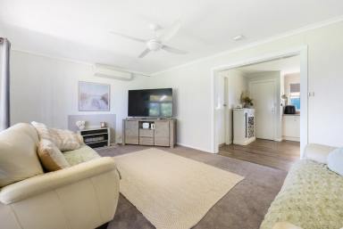 House Auction - NSW - Tamworth - 2340 - LIFESTYLE ACREAGE JUST MINUTES TO THE CBD  (Image 2)