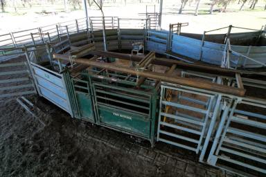 Mixed Farming For Sale - NSW - Holbrook - 2644 - Holbrook Mixed Farming & Grazing  (Image 2)