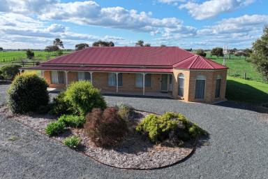 Cropping For Sale - VIC - Rochester - 3561 - HILLTOP FAMILY HOME ON 5 ACRES - ONLY MINUTES FROM TOWN  (Image 2)