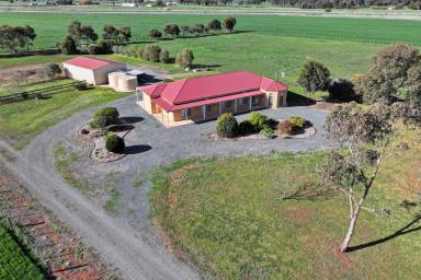 Cropping For Sale - VIC - Rochester - 3561 - HILLTOP FAMILY HOME ON 5 ACRES - ONLY MINUTES FROM TOWN  (Image 2)