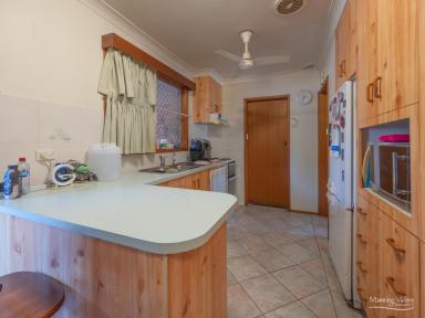 House For Sale - NSW - Taree - 2430 - Perfect Starter or Investment – Walk to Everything!  (Image 2)