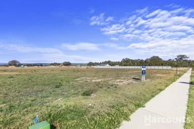 Residential Block For Sale - QLD - Booral - 4655 - Half Acre Block with Water Views  (Image 2)