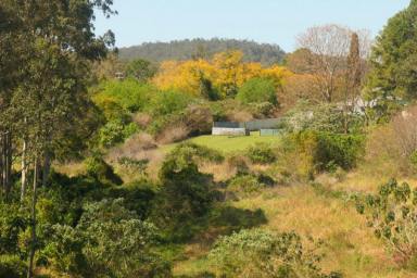 House For Sale - NSW - Tabulam - 2469 - ROSE COTTAGE ON THE RIVER  (Image 2)