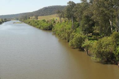 House For Sale - NSW - Tabulam - 2469 - LOVELY OLD LADY  (Image 2)
