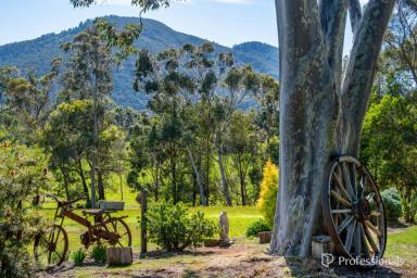 House For Sale - VIC - Don Valley - 3139 - LIFESTYLE, SPACE & RURAL VIEWS ON 6.5 ACRES APPROX.  (Image 2)