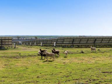 Other (Rural) For Sale - QLD - Yarranlea - 4356 - Solar Farm Opportunity!!  (Image 2)