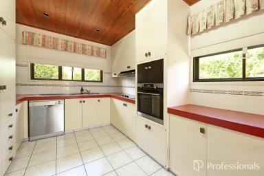 House For Sale - QLD - Mount Pleasant - 4740 - High and Dry in Mt P - A Family Treasure for 45 Years!  (Image 2)
