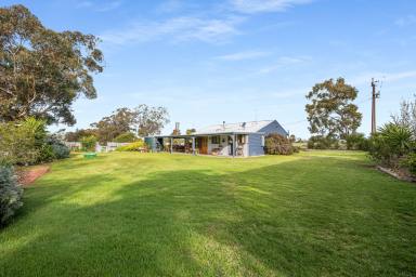 House For Sale - SA - Mundulla - 5270 - Charming Cottage on Acreage – Perfect for Lifestyle Buyers  (Image 2)