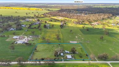 House For Sale - SA - Mundulla - 5270 - Charming Cottage on Acreage – Perfect for Lifestyle Buyers  (Image 2)