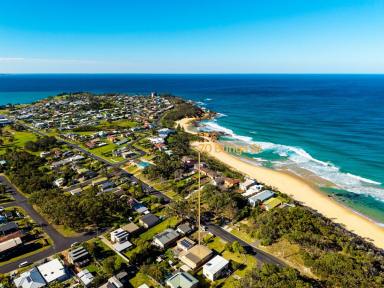 House For Sale - NSW - Bermagui - 2546 - BERMAGUI BEACH HOUSE  (Image 2)