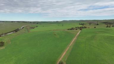 Mixed Farming For Sale - SA - Broughton River Valley - 5454 - 'Broughton Valley'  (Image 2)