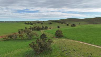 Mixed Farming For Sale - SA - Broughton River Valley - 5454 - 'Broughton Valley'  (Image 2)