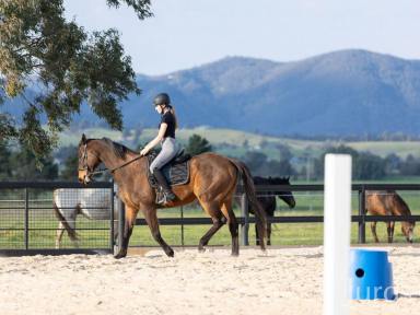 Lifestyle For Sale - NSW - Lower Belford - 2335 - A STONE HOMESTEAD IN HUNTER VALLEY WINE COUNTRY  (Image 2)