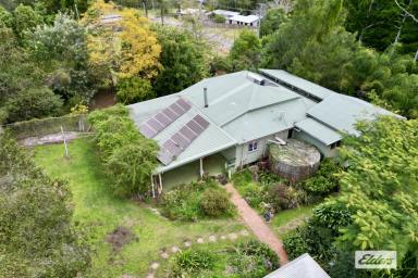House For Sale - QLD - Pie Creek - 4570 - Tranquil 3 Bedroom Queenslander Retreat on 5 Flood Free Acres!  (Image 2)