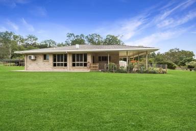 Acreage/Semi-rural For Sale - QLD - Kuttabul - 4741 - QUALITY BUILT FAMILY ACREAGE HOME WITH DUAL LIVING POTENTIAL (Image 2)