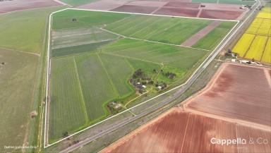 Other (Rural) For Sale - NSW - Whitton - 2705 - FARM "1764" - REDEVELOP, CROP OR STOCK  (Image 2)